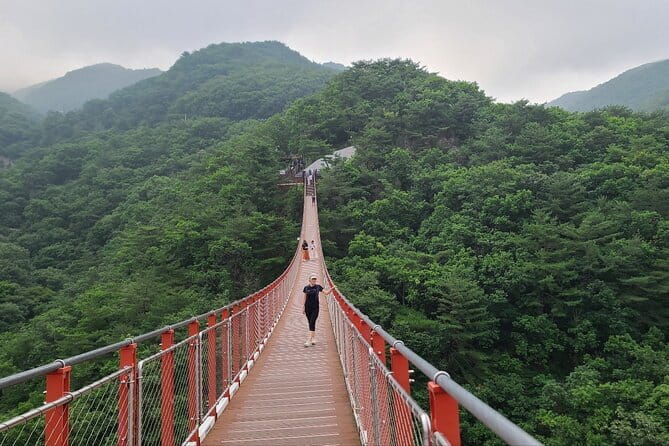 Seoul Beauty & Beyond Tour - Price and value: $245.21 buys structure and skincare support