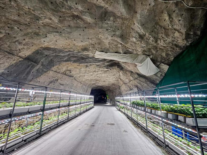 Seoul: Chungju Cruise, Cable Car & Cave Kayak Adventure Tour - Hwalok Cave and the quarry kayak: cool air, light shows, and slow paddling