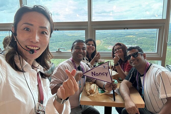 Seoul City Private Tour (Optional : Seoul, DMZ, Nami Island) - A truly private day: how “custom” works in practice