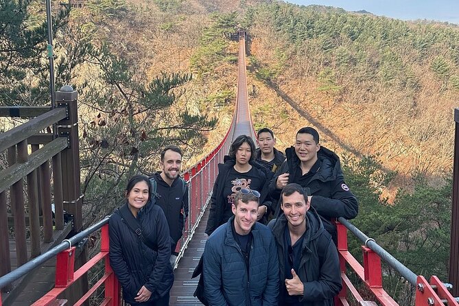 Seoul City Private Tour (Optional : Seoul, DMZ, Nami Island) - DMZ day planning: border area time with guide control
