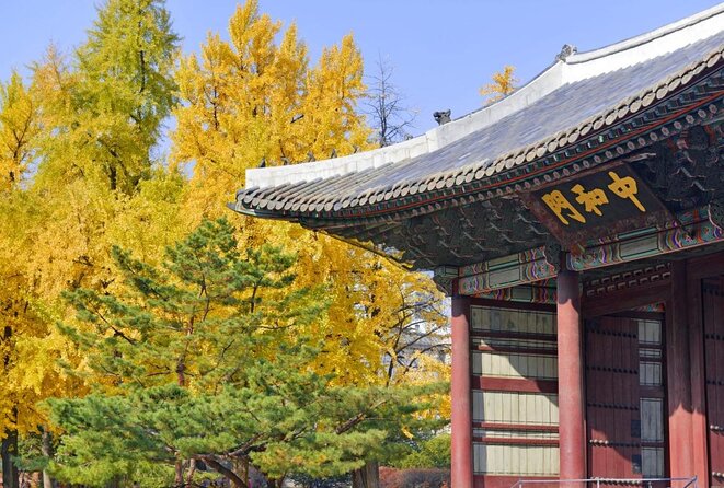 Seoul: Deoksugung Palace Night Tour - The Korean Empire stories you actually remember