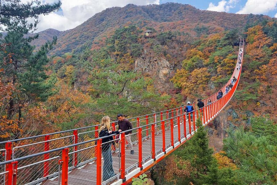 Seoul: DMZ Guided Tour with Suspension Bridge and Gondola - Getting Out of Seoul: You Have to Be Early