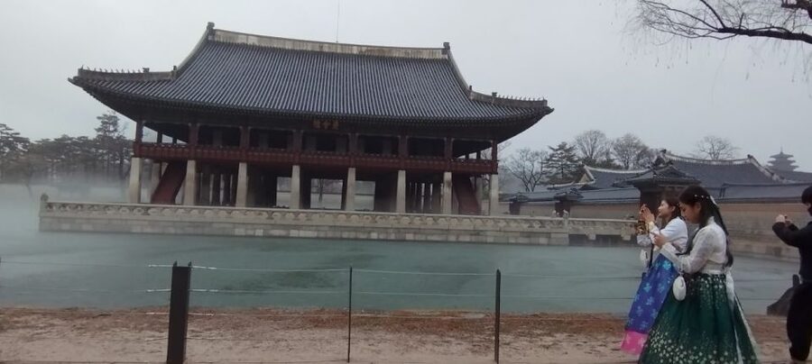 Seoul: DMZ, Gyeongbokgung Palace & City Tour - Who this DMZ and Palace combo is best for