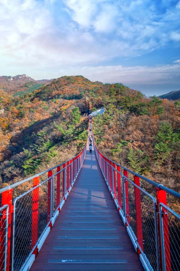 Seoul: DMZ Tour & Suspension Bridge (Option English/Spanish) - Unification Village: The Closing Stop With a Human Scale