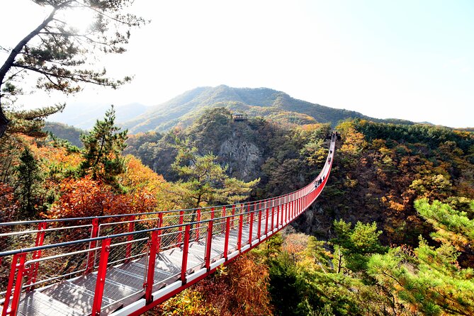 Seoul DMZ Tour with 3rd Tunnel and Red Suspension Bridge - Stop 1: Imjingak Pyeonghoa-Nuri Park and the Unification Message