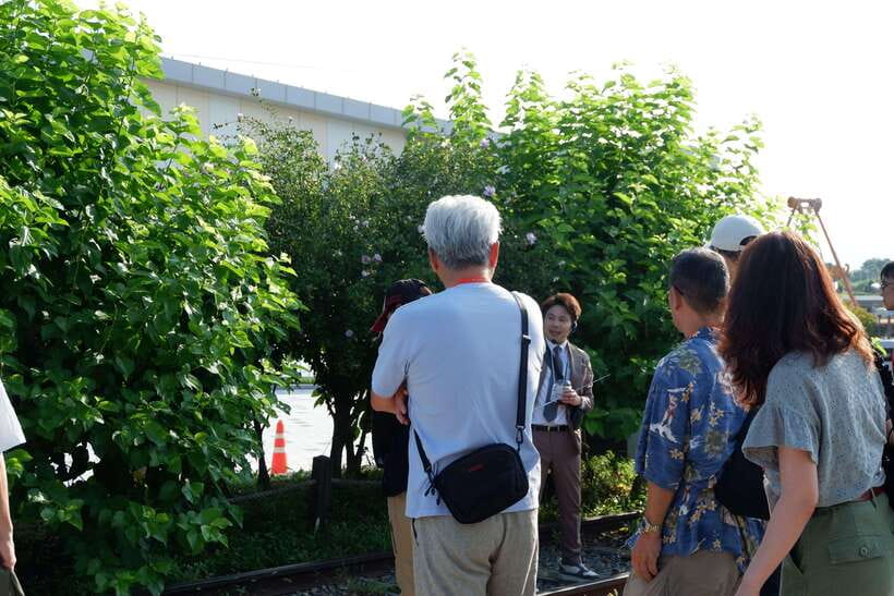Seoul: DMZ Tour with Japanese-Speaking Guide - The 3rd Infiltration Tunnel on foot: the part that changes your body
