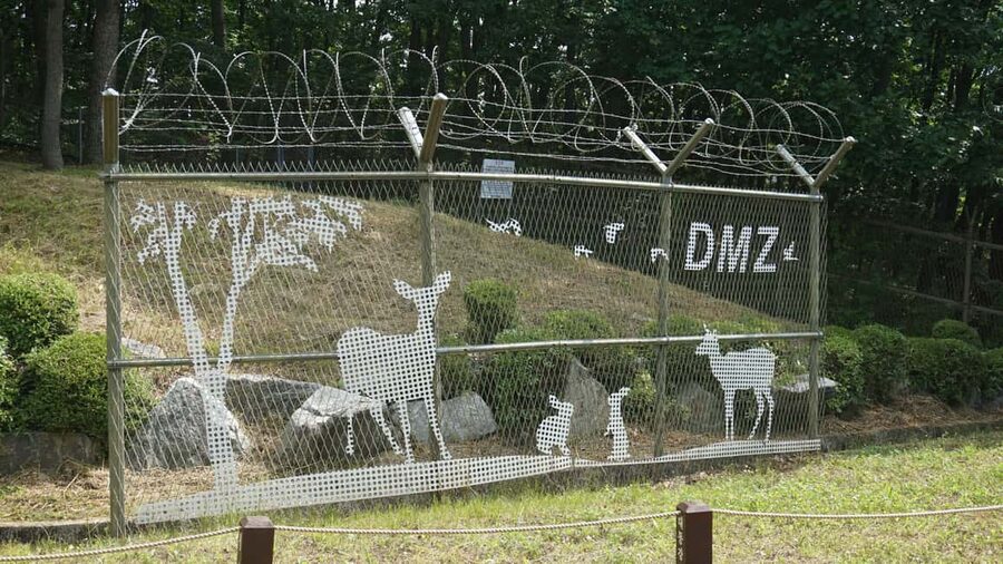 Seoul: DMZ Tour with Optional Suspension Bridge - Transport and pacing: how the day feels in real life