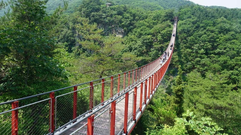 Seoul: DMZ Tour with Optional Suspension Bridge - The real point of the DMZ day trip: seeing a border you can’t ignore