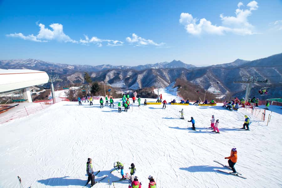 Seoul: Elysian Gangchon Winter Ski Resort Fun Day Tour - Choose your winter day: ski, snowboard, sled, or sightseeing lifts