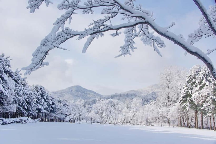 Seoul: Elysian Gangchon Winter Ski with Nami Island Day Tour - Nami Island Winter Walk: why the 9:30am timing matters