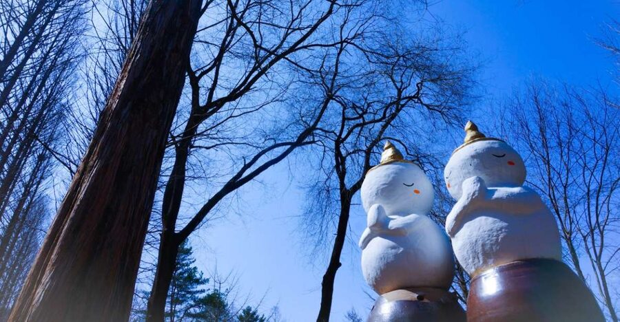 Seoul: Elysian Gangchon Winter Ski with Nami Island Day Tour - Elysian Gangchon Ski Resort: beginner support that saves your day
