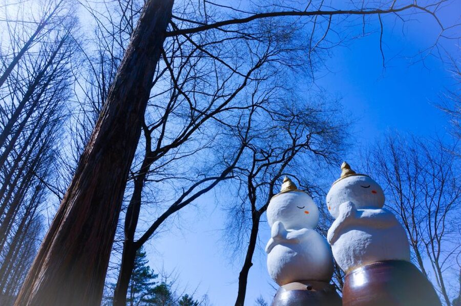 Seoul: Elysian Gangchon Winter Ski with Nami Island Day Tour - Where you’ll meet and get dropped off in Seoul