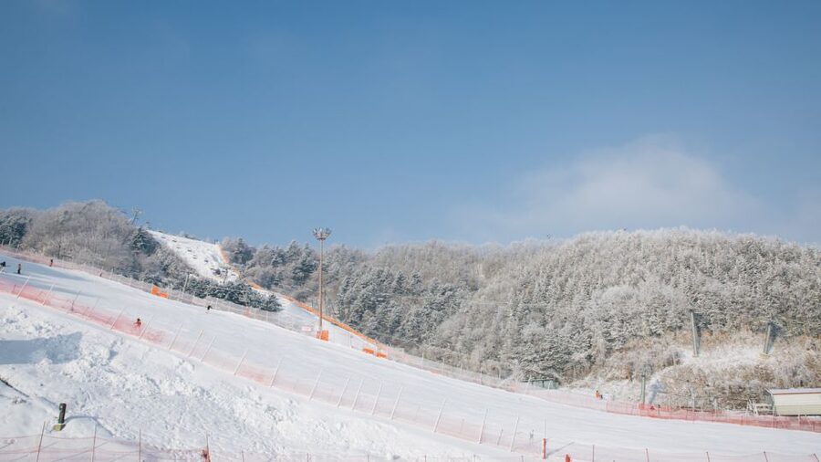 Seoul: Elysian Gangchon Winter Ski with Nami Island Day Tour - What’s included (and what you should budget extra)
