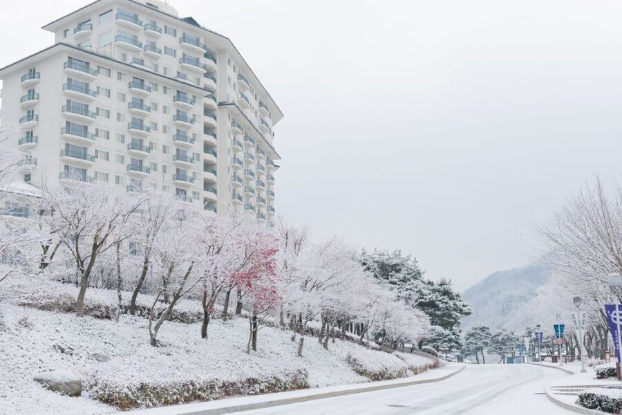 Seoul: Elysian Gangchon Winter Ski with Nami Island Day Tour - Snow conditions and photo expectations near the end of winter