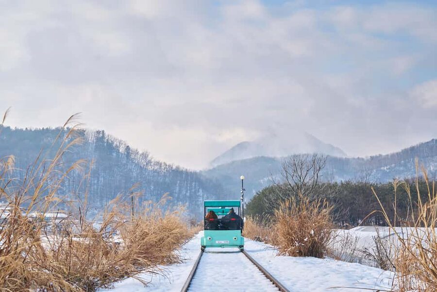 Seoul: Eobi Ice Valley, Alpaca World, Nami Island and More - Key takeaways before you go