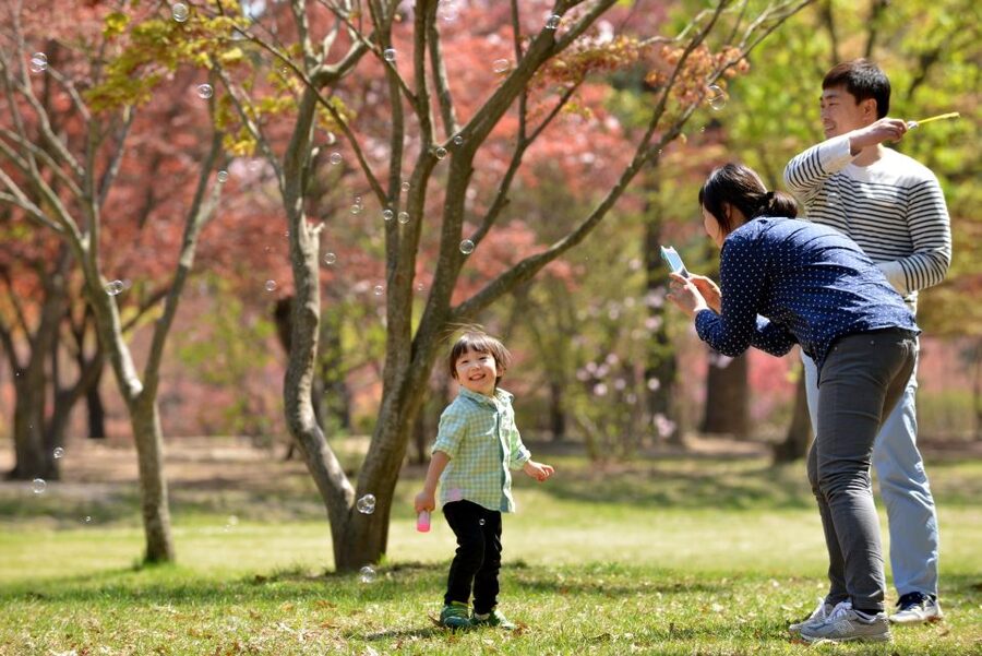 Seoul: Eobi Ice Valley, Alpaca World, Nami Island and More - Who this tour fits best (and who might want a lighter plan)