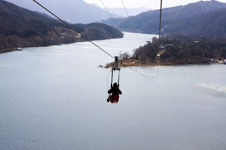 Seoul: Eobi Ice Valley, Alpaca World, Nami Island and More - Nami Island and Winter Sonata vibes: scenic walking time with a seasonal catch
