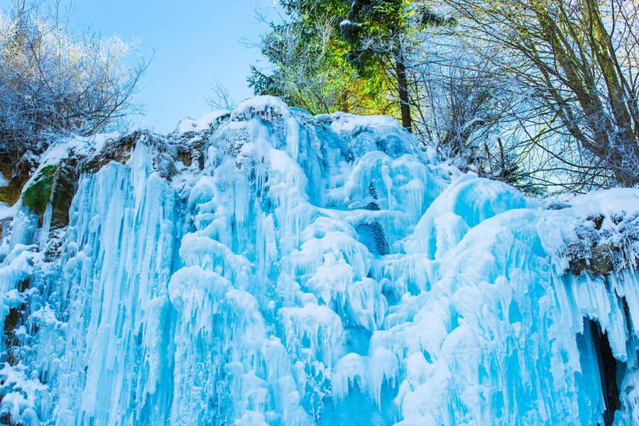 Seoul: Eobi Ice Valley, Alpaca World, Nami Island and More - Price and value: why $83 can make sense here
