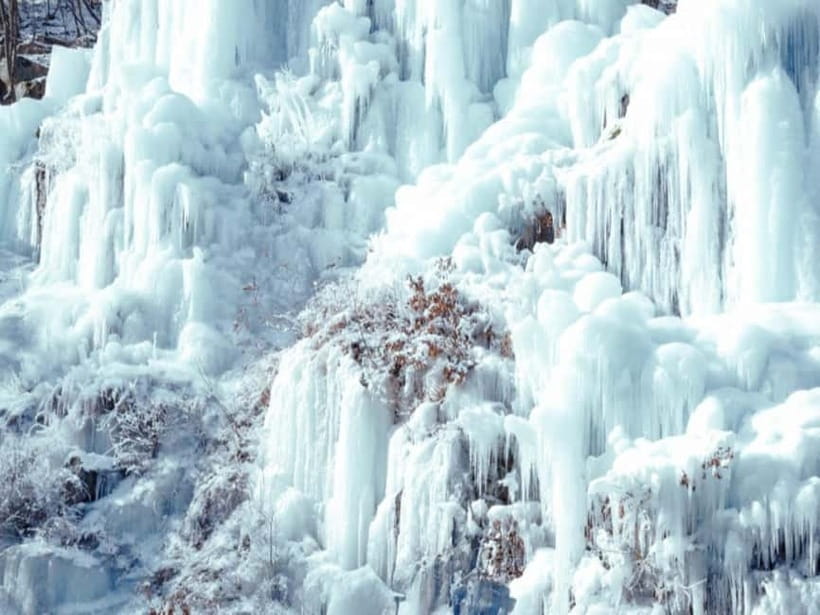 Seoul: Eobi Valley(Winter), Strawberry, Nami Island and Bike - Should You Book This Tour?
