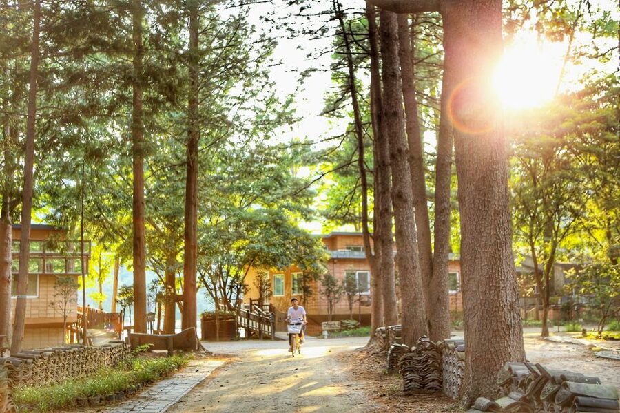 Seoul: Eobi Valley(Winter), Strawberry, Nami Island and Bike - How The 13-Hour Seoul Route Fits Together (without feeling random)