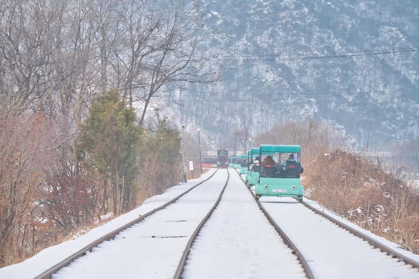 Seoul: Eobi Valley(Winter), Strawberry, Nami Island and Bike - Who Should Book This Seoul Strawberry, Nami Island, and Railbike Day Trip