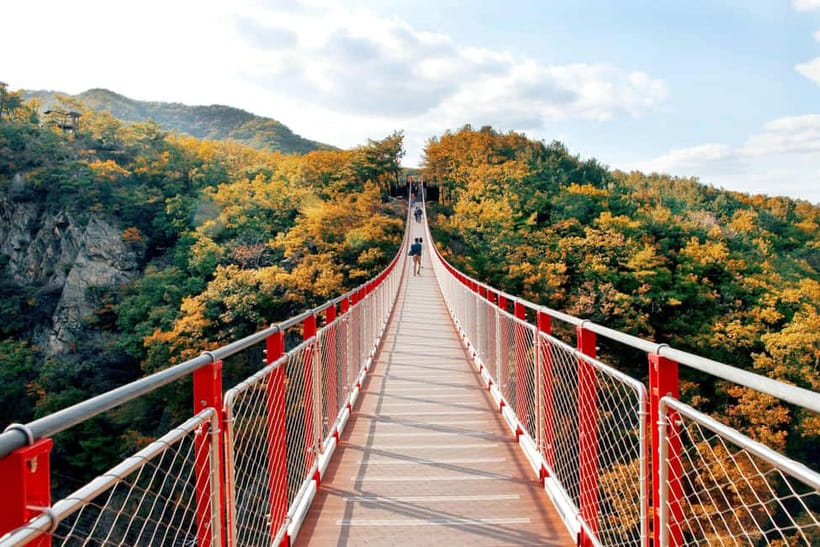 Seoul Full-Day City Tour: Hanok Village, Scenic Routes - Quick highlights you’ll care about