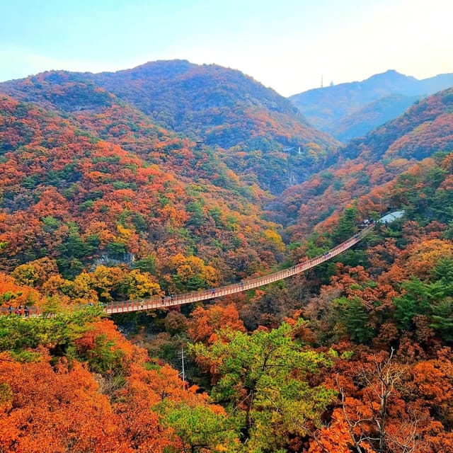 Seoul Full-Day City Tour: Hanok Village, Scenic Routes - Your guide experience: English help that keeps it comfortable