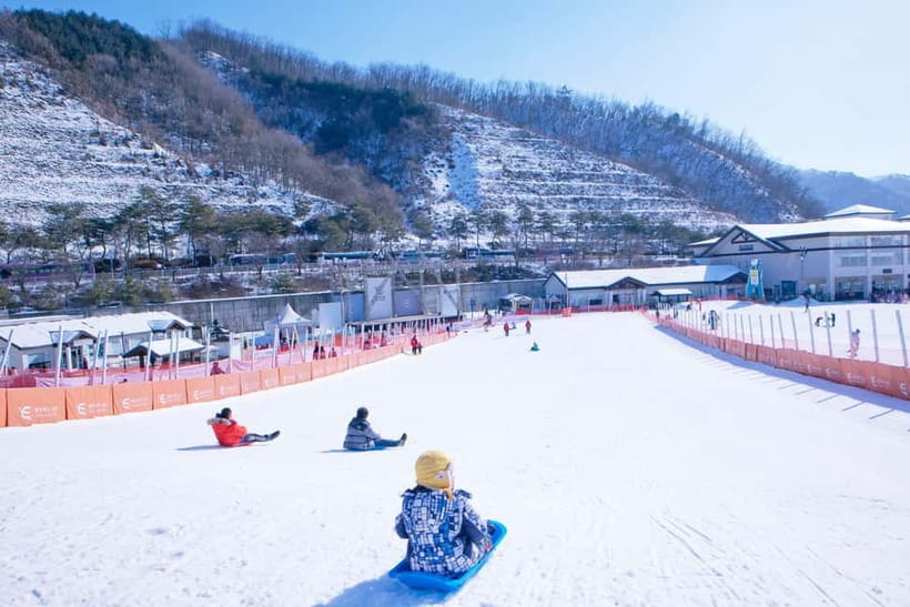 Seoul: Full-Day Winter Trip Ski Resort, Ice Valley, Namiseom - Key points worth knowing before you go