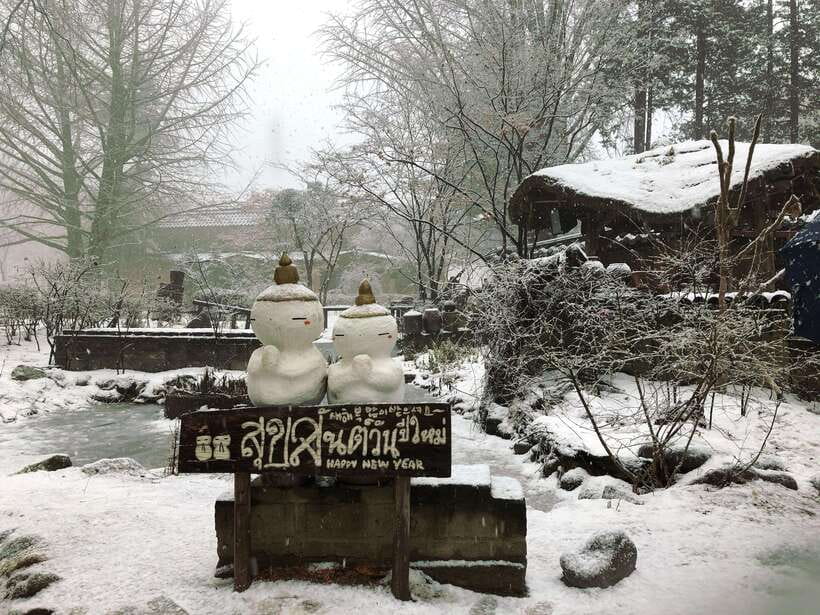 Seoul: Full-Day Winter Trip Ski Resort, Ice Valley, Namiseom - Choosing Your Ski Option: MovingWalk vs Lift, Ski vs Snowboard vs Sled