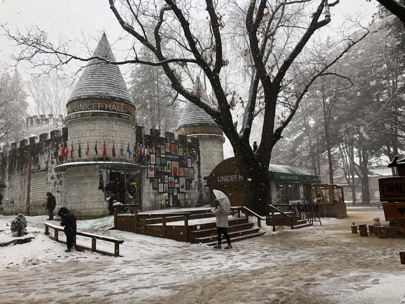 Seoul: Full-Day Winter Trip Ski Resort, Ice Valley, Namiseom - Nami Island in Winter: Ferry Included, Trees to Wander, K-Drama Love