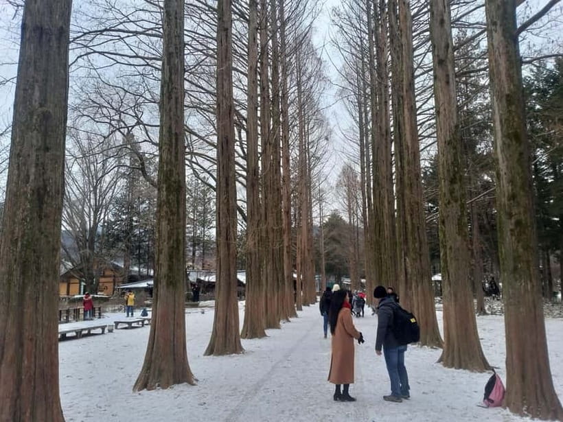 Seoul: Full-Day Winter Trip Ski Resort, Ice Valley, Namiseom - Your Guide Can Make or Break the Day