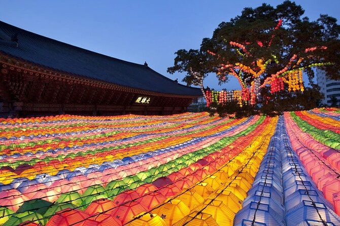 Seoul Fun Private Tour (customizable) - How Suha customizes your route (and how you should prepare)