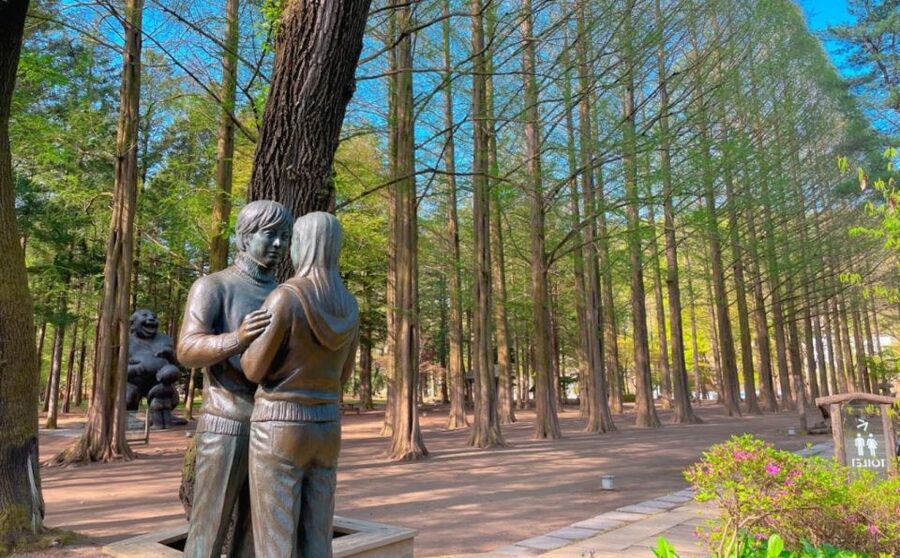 Seoul: Gangwon-do Day Trip with Alpaca World & Nami Island - Gangchon Rail Park rail bike OR Garden of Morning Calm: pick your pace