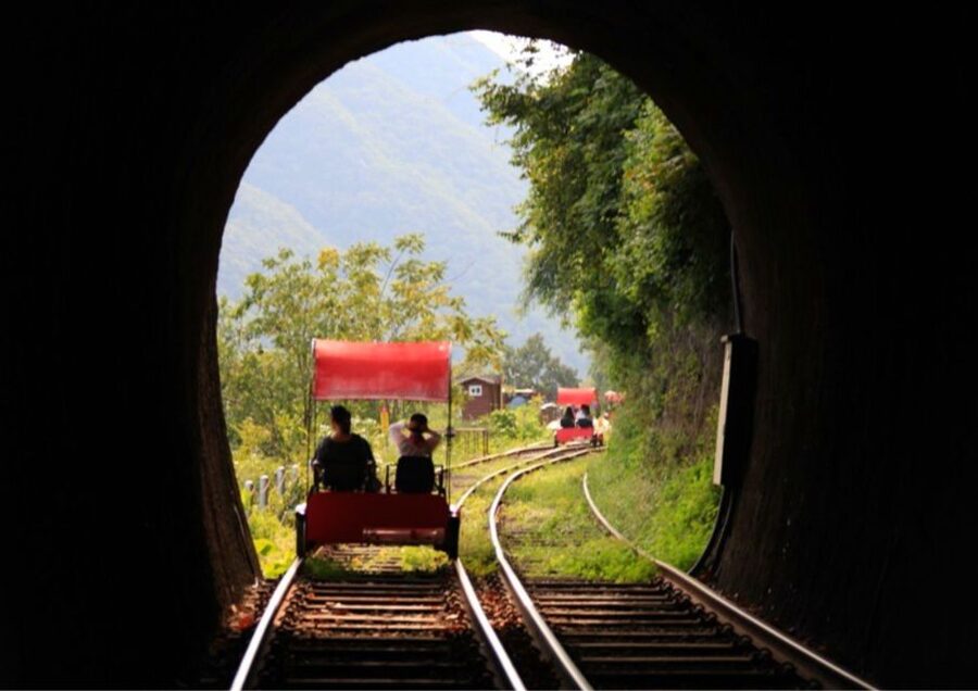 Seoul: Gangwon-do Day Trip with Alpaca World & Nami Island - What kind of traveler this tour fits best