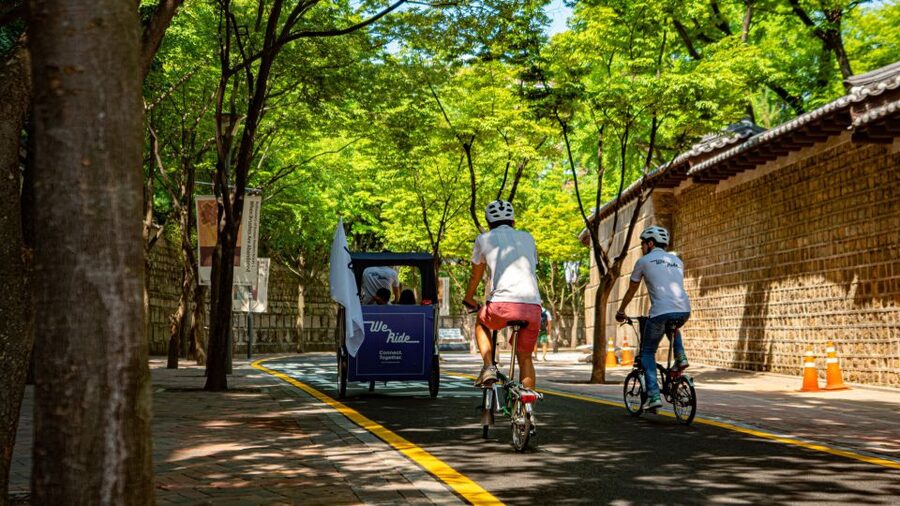 Seoul: Guided Small Group V.I.P Morning Pedicab Tour - Quick hits you’ll feel right away