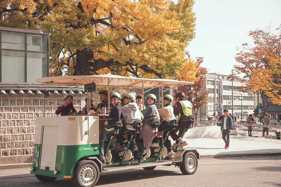 Seoul: Guided Tram Tour with Snacks and Hidden Alleys - Who should book this tram tour?