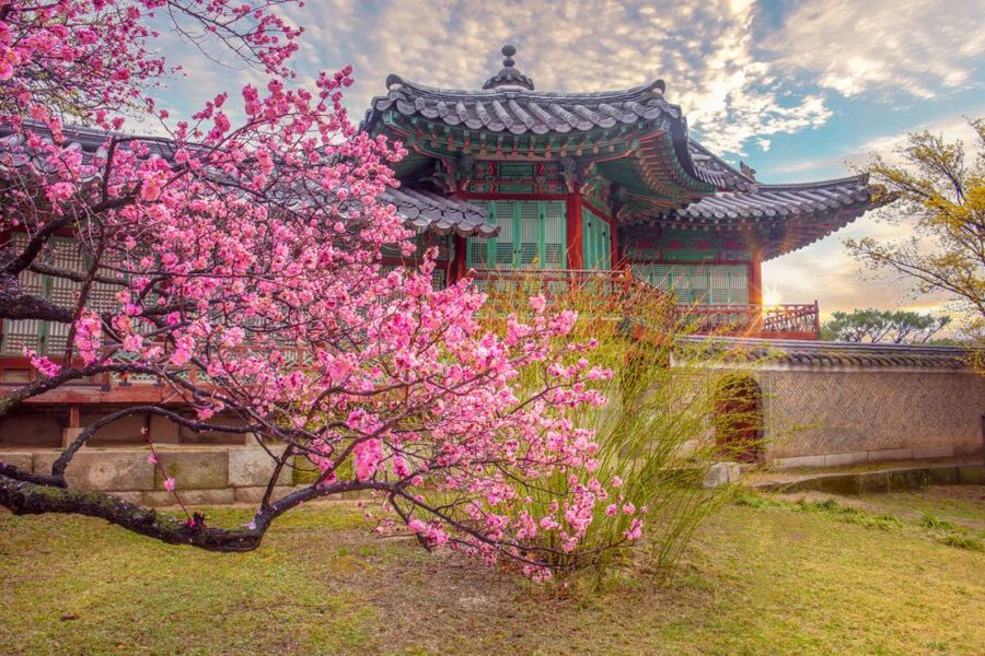 Seoul: Gyeongbok Palace and Bukchon Hanok Walking Tour - Key highlights to expect