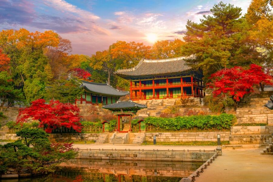Seoul: Gyeongbok Palace and Bukchon Hanok Walking Tour - Bukchon Hanok Village and Samcheongdong Alley: the walk that links old and new
