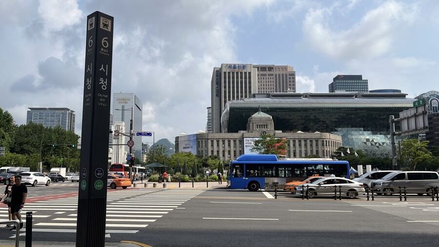 Seoul: Gyeongbok Palace and Bukchon Hanok Walking Tour - Price and value: $88 for a guided Seoul morning that adds context