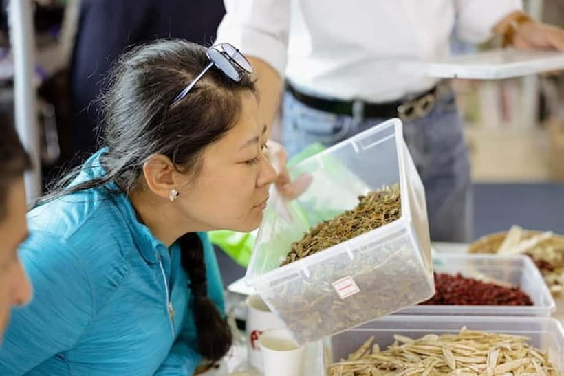 Seoul: Herbal Tea Class & Korean Medicine Tour - What the TKM Lecture Actually Helps You Do