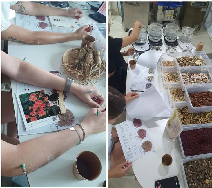Seoul: Herbal Tea Class & Korean Medicine Tour - K-Medi Center and the TKM Museum: Learning Without the Guesswork
