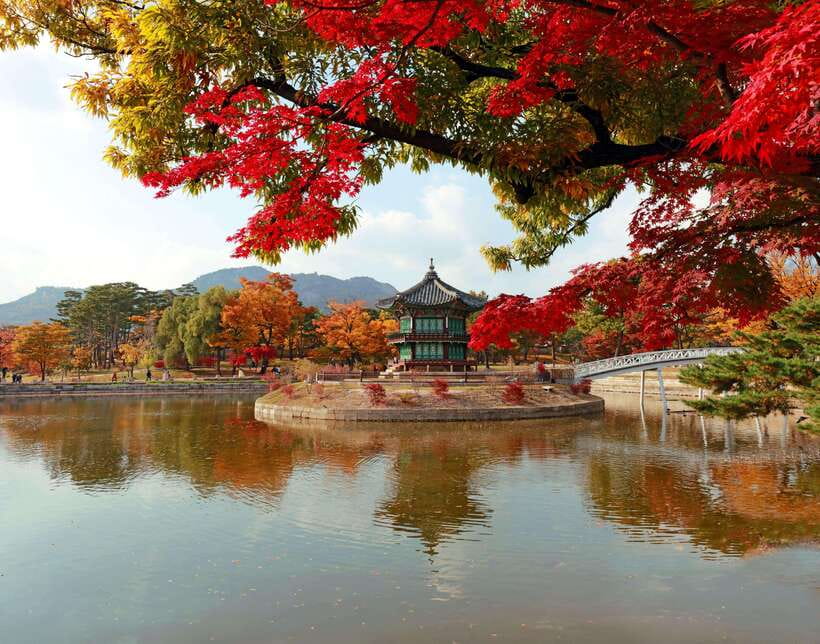 Seoul Highlights: Gyeongbok Palace, Insadong & N Seoul Tower - Key things that make this Seoul tour work