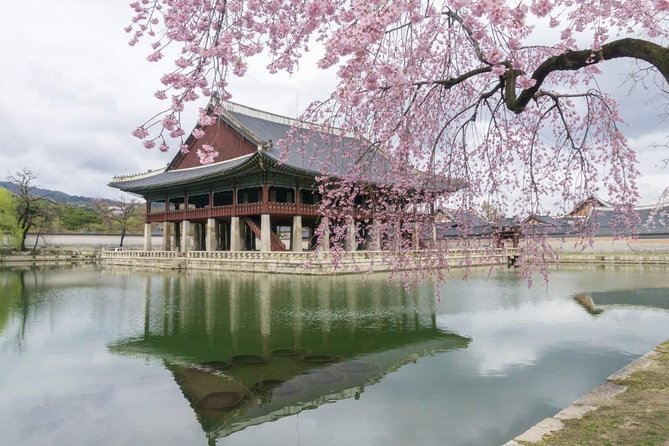 Seoul Highlights & Hidden Gems – Private Tour with Photo Service - Private Photo Service That Actually Feels Personal