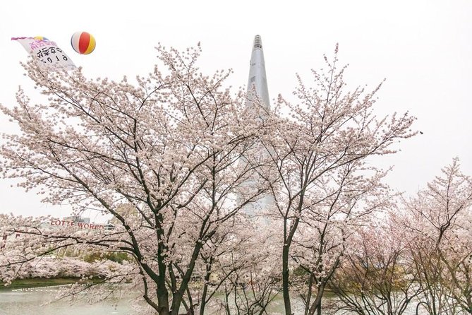 Seoul Highlights & Hidden Gems – Private Tour with Photo Service - How the Day Runs: Pickup, Vehicle Comfort, and Photo Timing