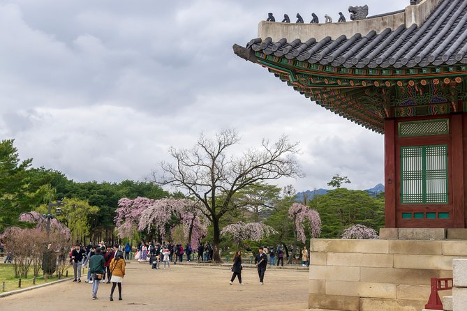 Seoul Highlights & Hidden Gems – Private Tour with Photo Service - Namsangol Hanok Village and N Seoul Tower: Traditional Houses to a Big View