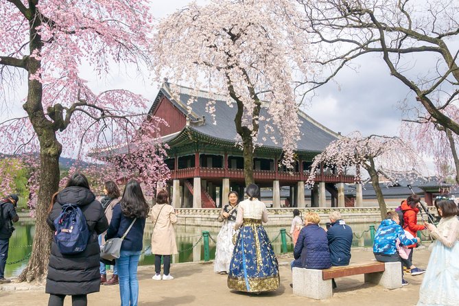 Seoul Highlights & Hidden Gems – Private Tour with Photo Service - Who This Tour Fits Best (And Who Might Not Need It)