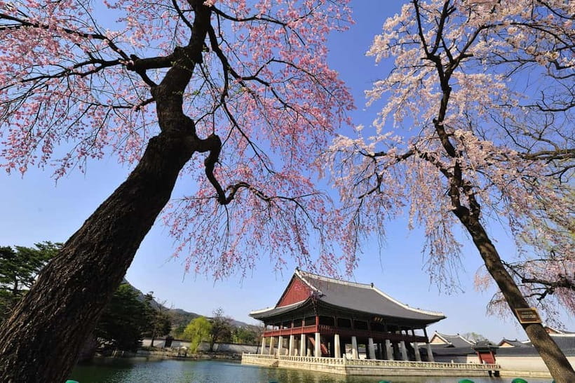 Seoul: Highlights of Seoul Full-Day Tour - Bugak Palgakjeong: skyline views with a calm break from traffic