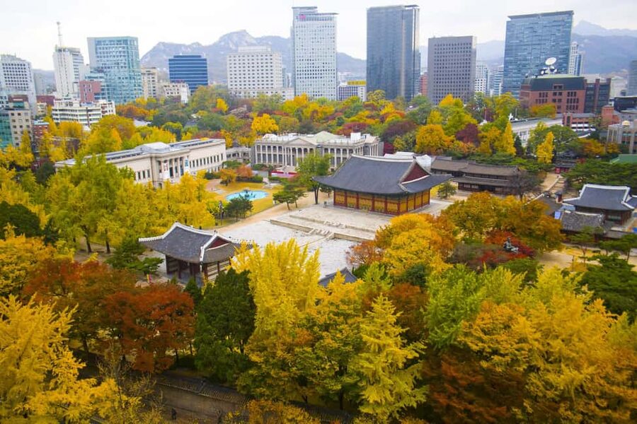 Seoul: Highlights of Seoul Half-Day Tour - The guides: why the experience feels smooth