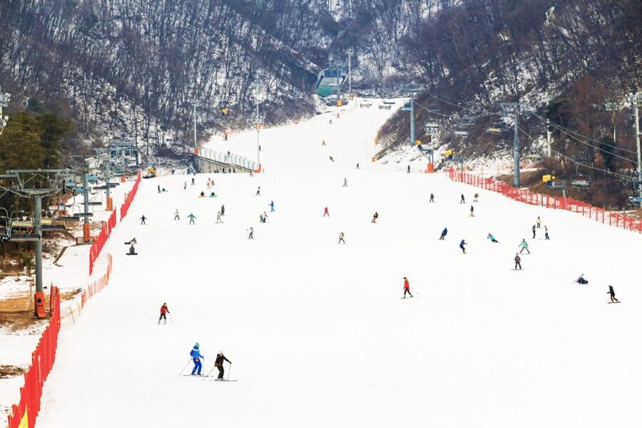 Seoul: Jisan Forest Winter Ski Day Tour with Basic Lesson - A pine-forest ski day that’s close enough to be easy