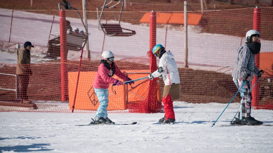 Seoul: Jisan Forest Winter Ski Day Tour with Basic Lesson - Choosing the right option: shuttle only versus ski/snowboard full package
